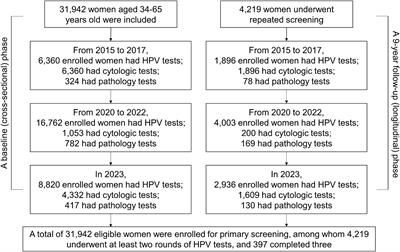 A real-world, cross-sectional, and longitudinal study on high-risk human papillomavirus genotype distribution in 31,942 women in Dongguan, China